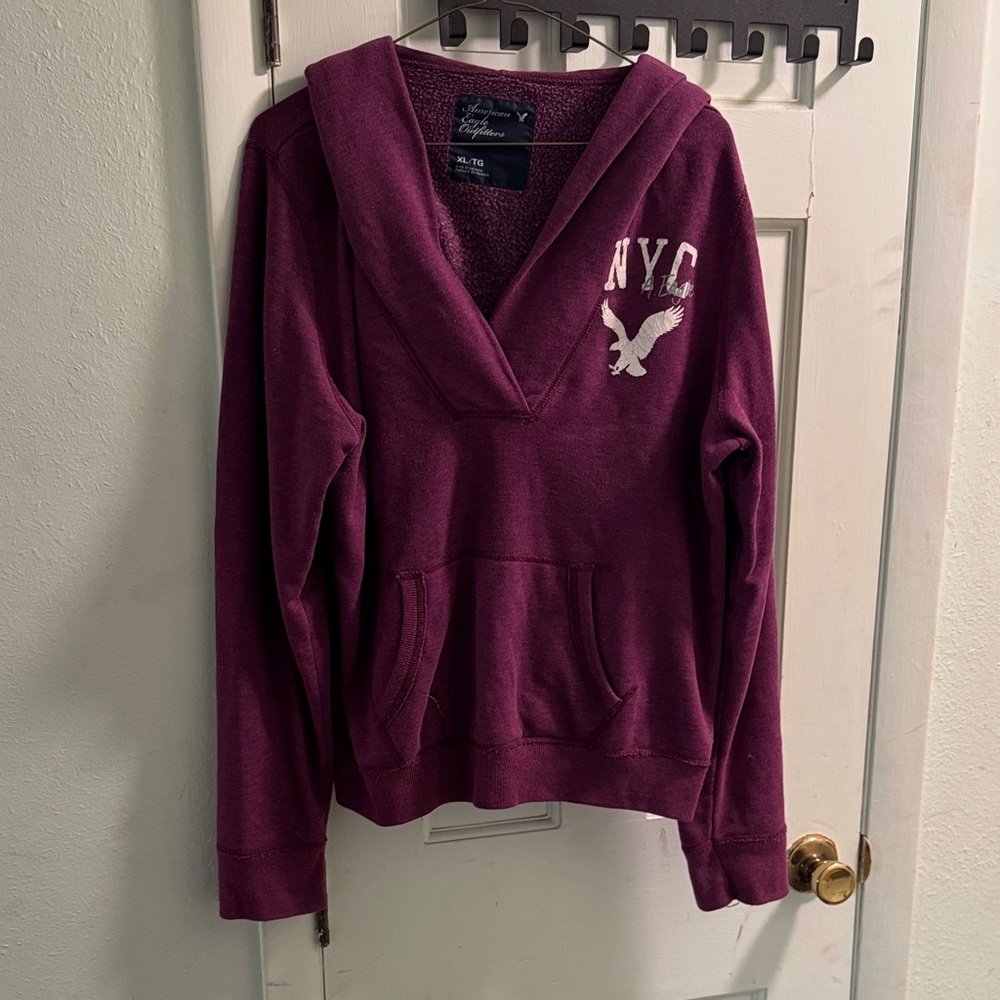 American Eagle Outfitters Purple V-Neck Sweater